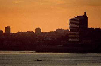 estor03.jpg (6803 bytes)