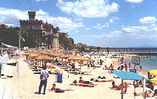 estor05.jpg (26086 bytes)