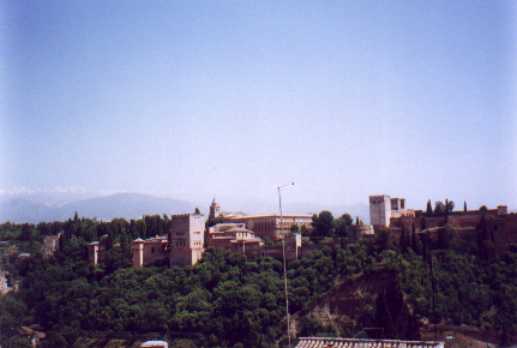 ff012.jpg (13218 bytes)