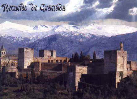 ff016.jpg (18978 bytes)