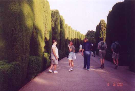 ff017.jpg (15040 bytes)