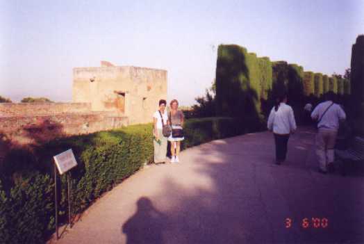 ff018.jpg (14270 bytes)