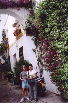 ff043.jpg (23483 bytes)