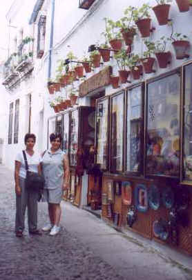 ff044.jpg (17324 bytes)