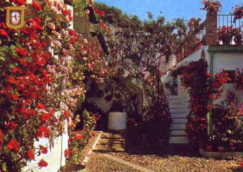 ff045.jpg (34013 bytes)