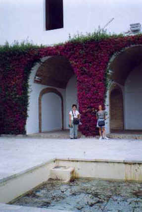 ff046.jpg (13918 bytes)