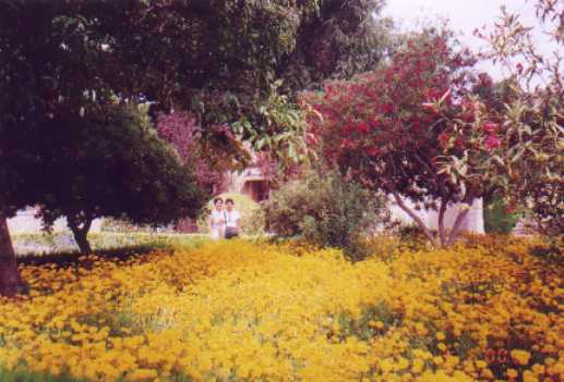 ff047.jpg (29044 bytes)