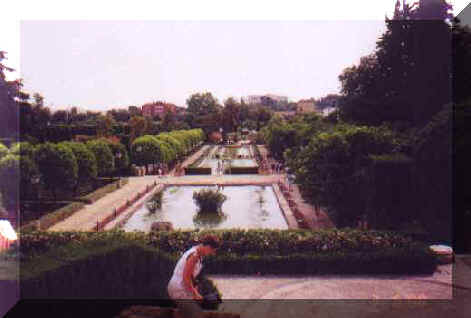 ff048.jpg (15626 bytes)