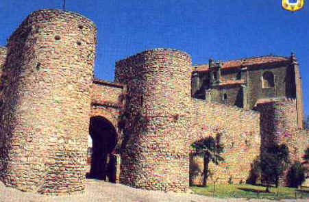 ff051.jpg (25788 bytes)