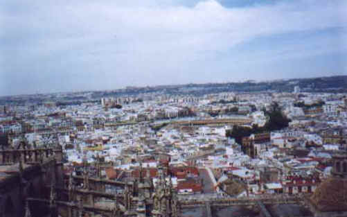 ff060.jpg (18946 bytes)