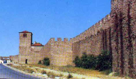 ff072.jpg (16988 bytes)