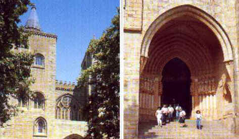 ff073.jpg (22120 bytes)