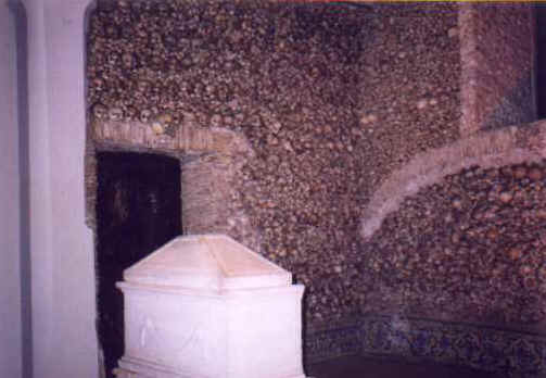 ff076.jpg (20215 bytes)