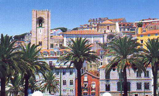 ff090.jpg (35836 bytes)