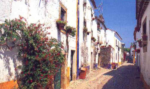 ff101.jpg (26411 bytes)