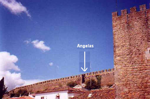 ff105.jpg (22554 bytes)