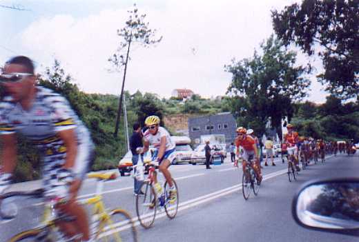 ff114.jpg (25554 bytes)