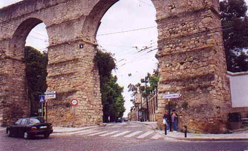 ff116.jpg (27173 bytes)