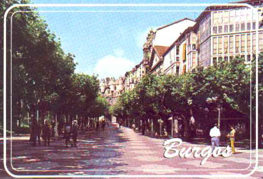 ff155.jpg (31502 bytes)