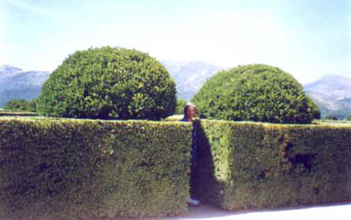 ff197.jpg (19103 bytes)