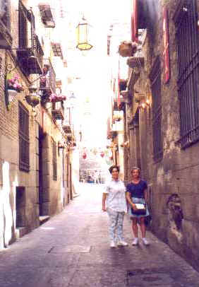 ff203.jpg (18141 bytes)