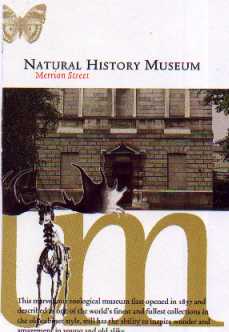 ff234.jpg (11775 bytes)