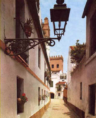 sevi04.jpg (24583 bytes)